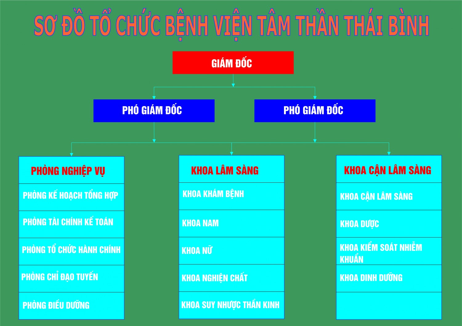tổ chức bệnh viện